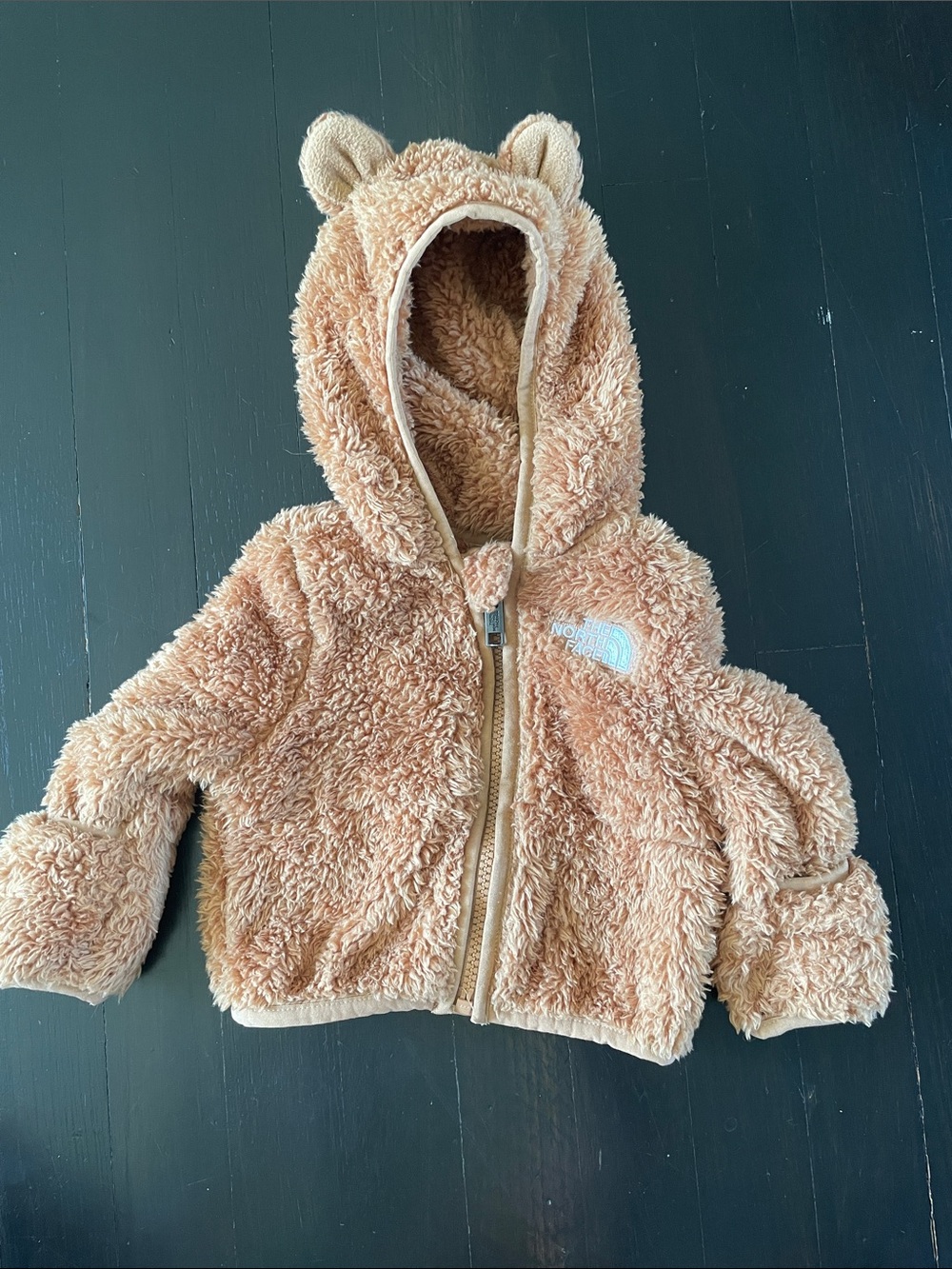 The North Face Plush Baby Bear Hooded Fleece Jacket - Excellent Condition